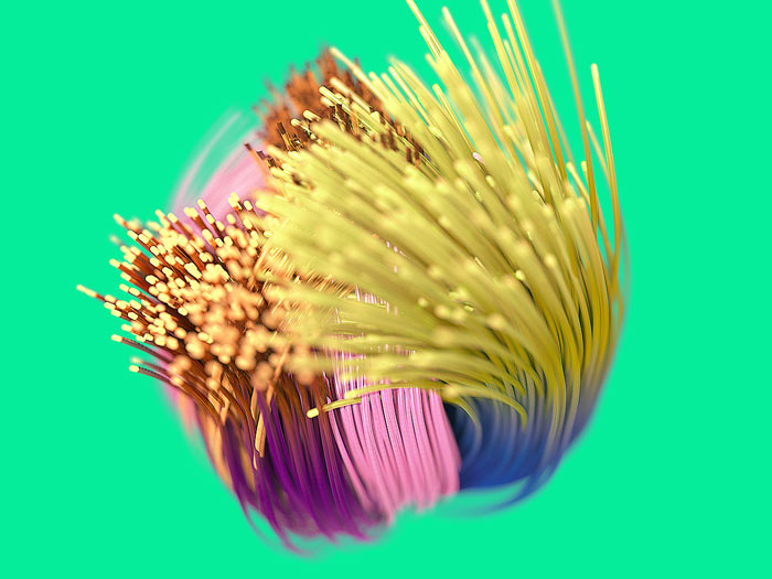 tria 700x525 eb5 1026